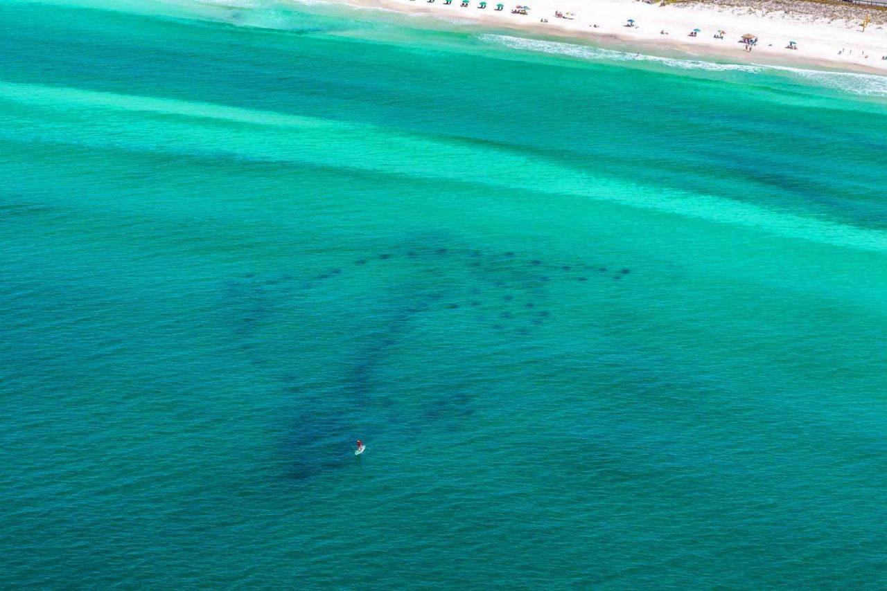 Caribbean Dunes 120 Destin Esterno foto